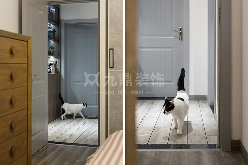 猫咪 猫咪